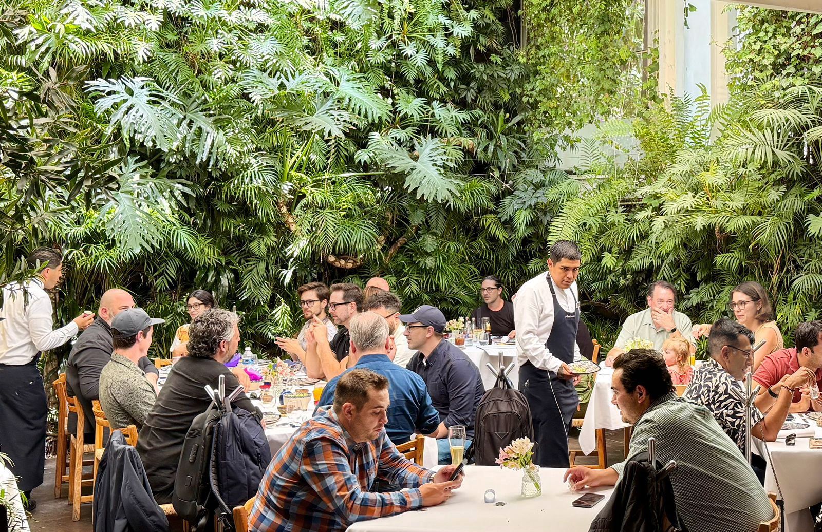 Varias personas sentadas alrededor de una larga mesa en un frondoso jardín al aire libre, cenando y charlando juntas.