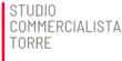 ICONA LOGO