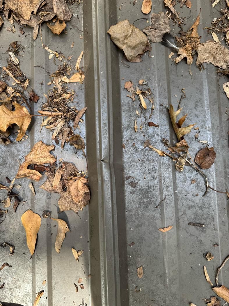 Close-up of a gray metal surface with dried leaves and debris caught in ridges