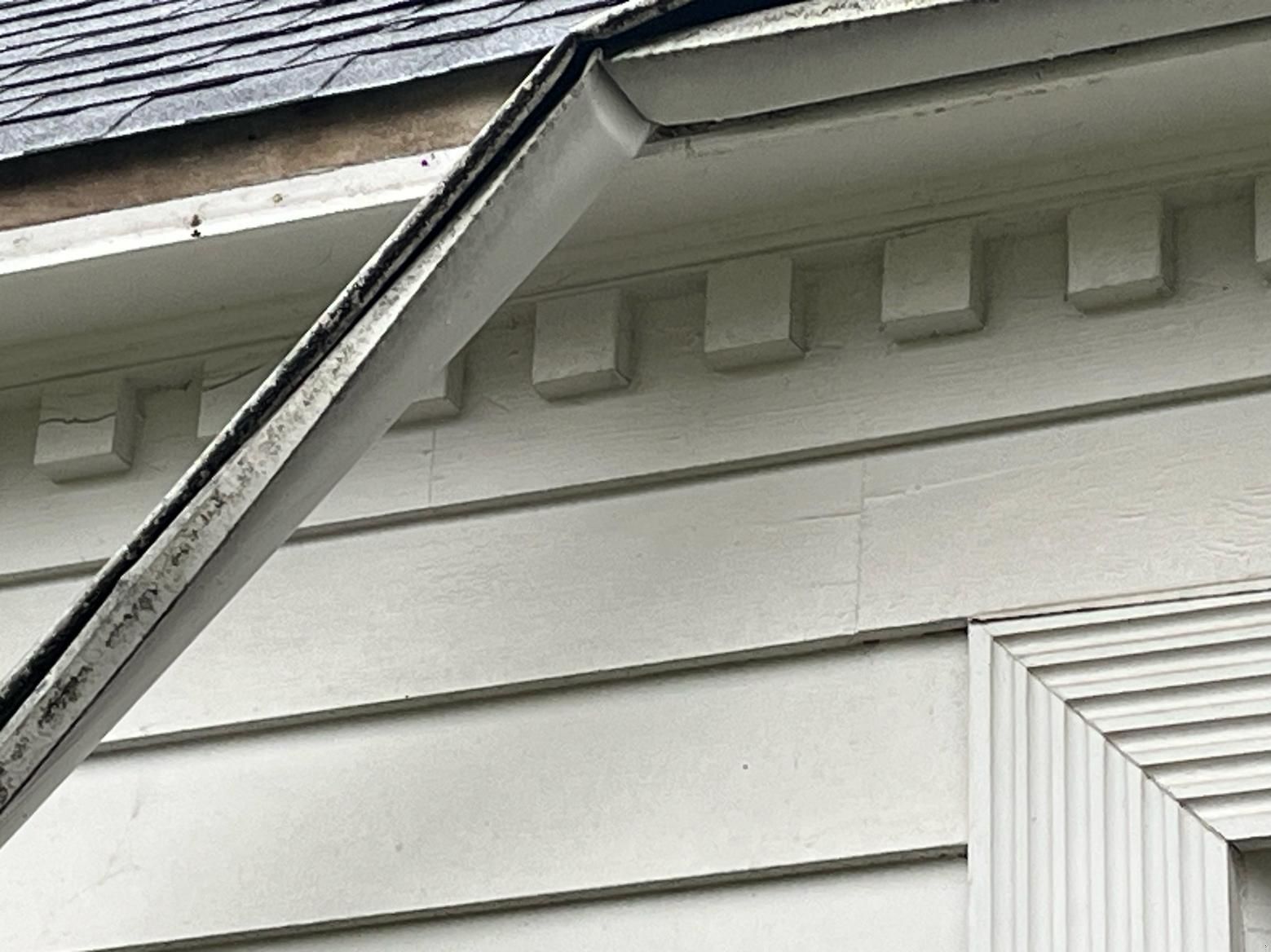 Close-up of a house roof and white siding with a ladder leaning along the eave.