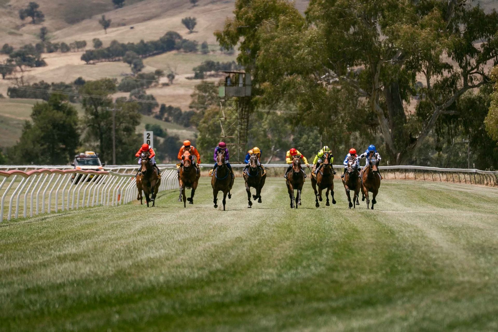 Adelong Cup Day