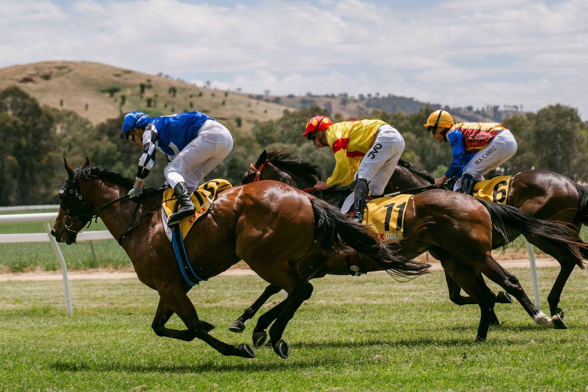 Snake Gully Cup
