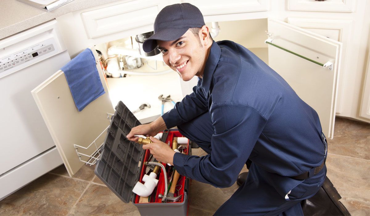Professional Plumber