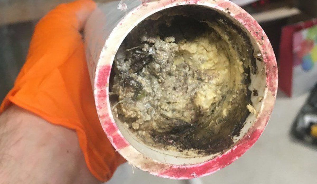 Clogged Drains Emergency