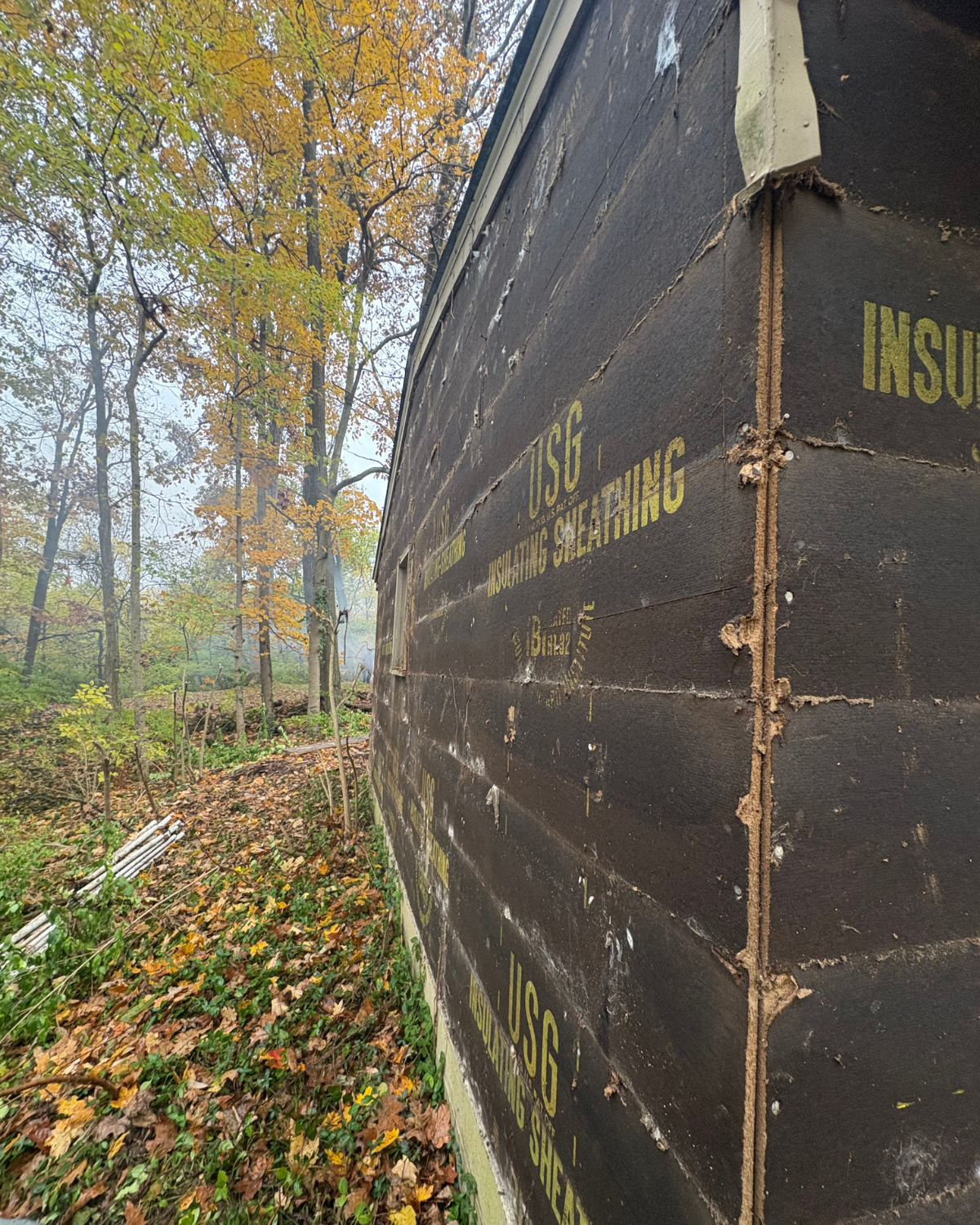 Exterior wall with dark sheathing, partially obscured by trees.