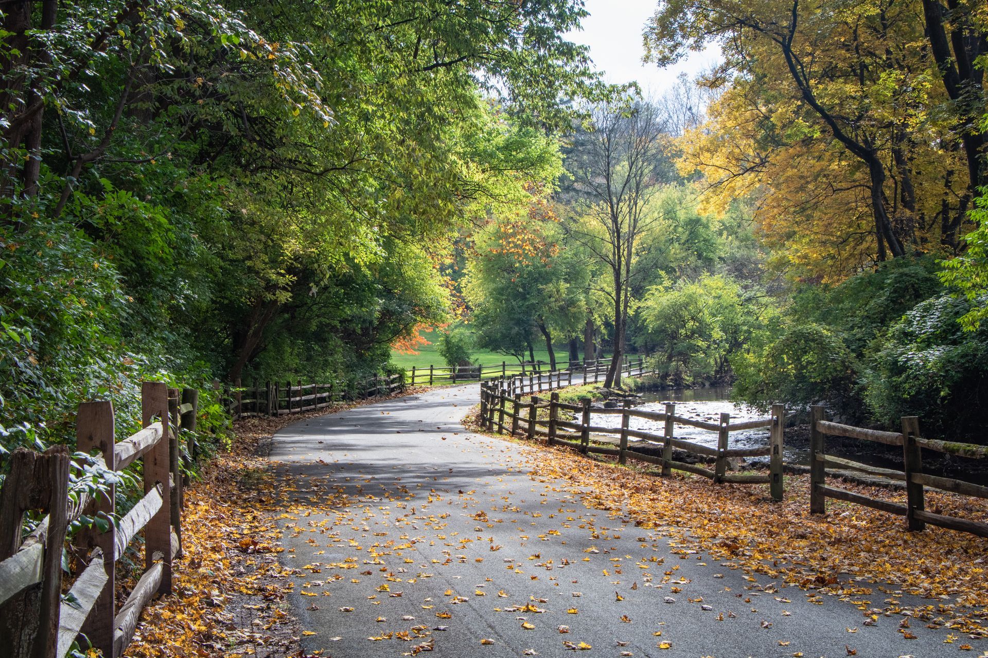 Rainy park path lined with wooden fences and autumn trees, wet leaves scattered on the ground