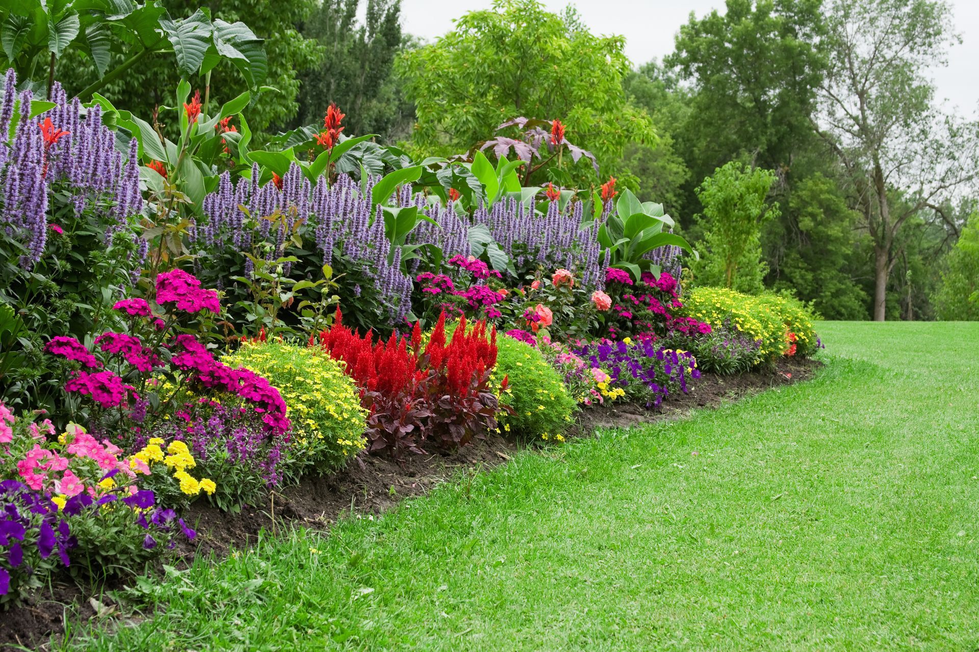 There are many different types of flowers in the garden.