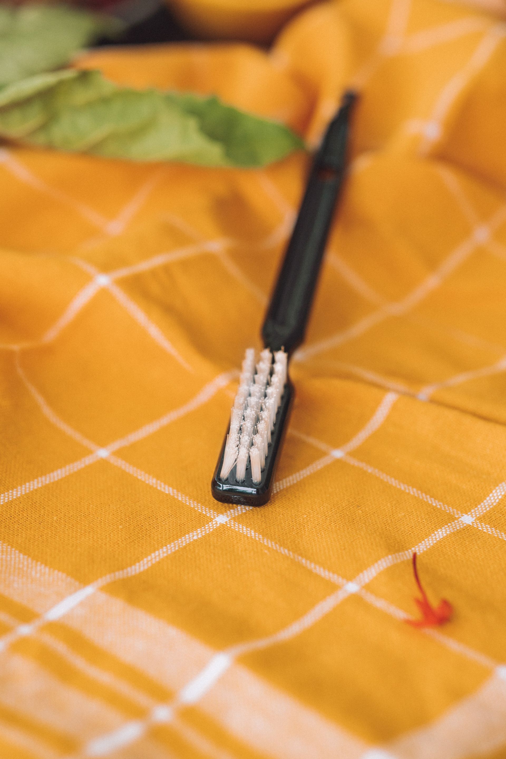 Brush juicer