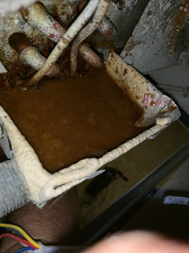 An HVAC drain pan filled with stagnant, murky brown sludge and debris, showing signs of neglect or blockage.