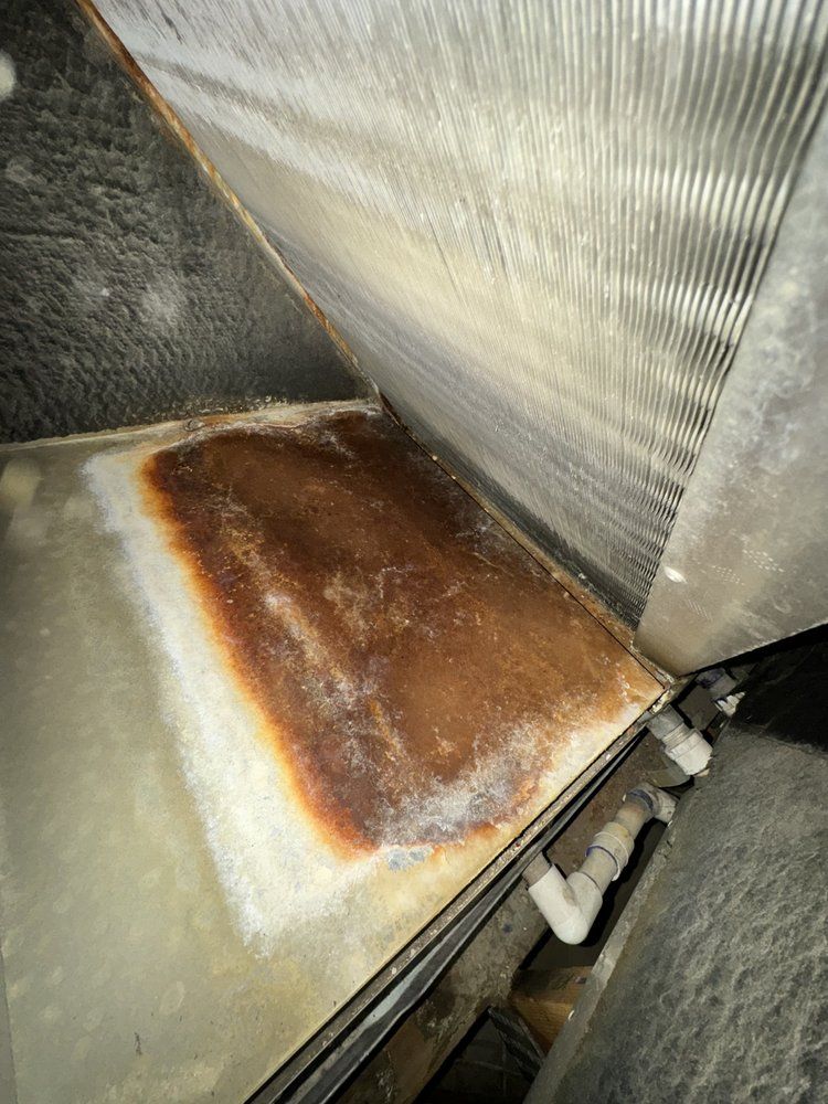 A dirty HVAC evaporator coil drain pan with rust and organic buildup, located beneath metallic cooling fins.