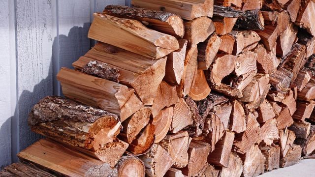 Grown Wood | Preston, WI | Eskildsen's Tree Service & Property Maintenance