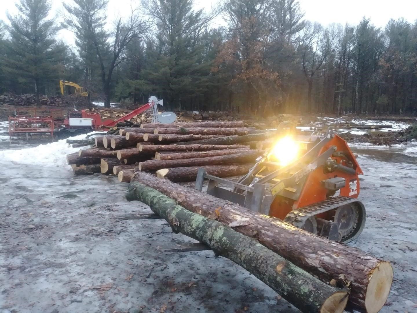 Carrying Tree Wood | Preston, WI | Eskildsen's Tree Service & Property Maintenance