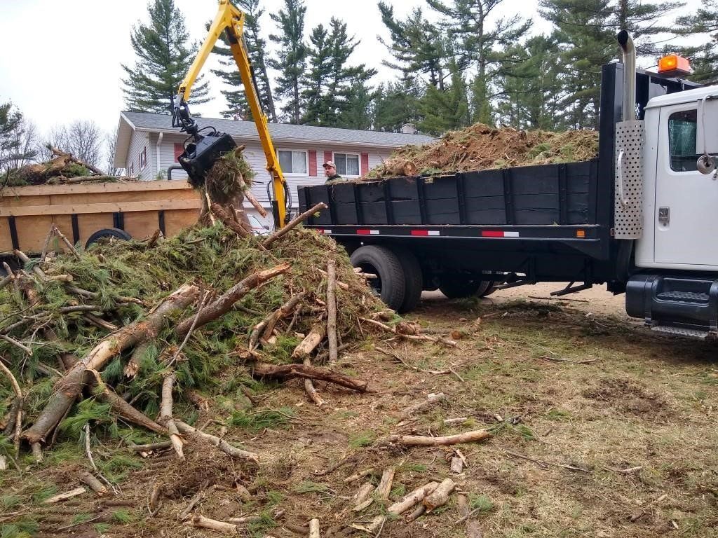 Lifting Tree Trunks | Preston, WI | Eskildsen's Tree Service & Property Maintenance