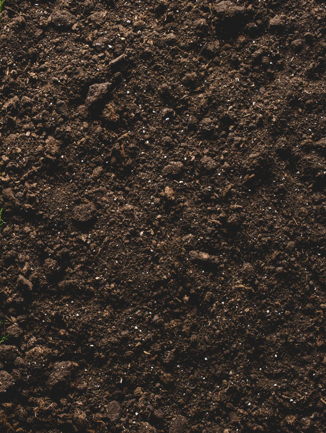 Soil | Preston, WI | Eskildsen's Tree Service & Property Maintenance