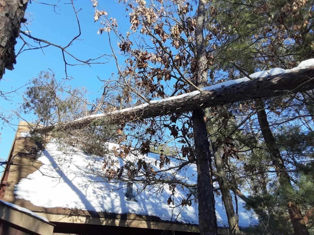 Storm Damages Trees | Preston, WI | Eskildsen's Tree Service & Property Maintenance