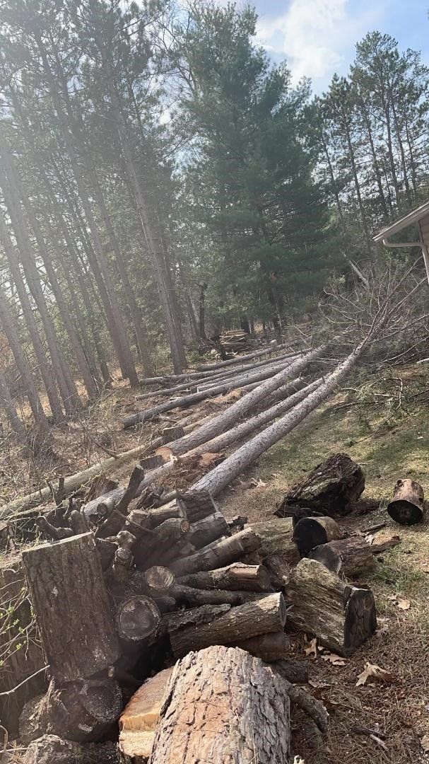 Tree Cutting | Preston, WI | Eskildsen's Tree Service & Property Maintenance