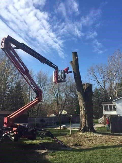 Tree Pruning | Preston, WI | Eskildsen's Tree Service & Property Maintenance
