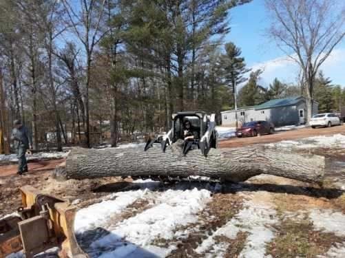 Tree Removal | Preston, WI | Eskildsen's Tree Service & Property Maintenance
