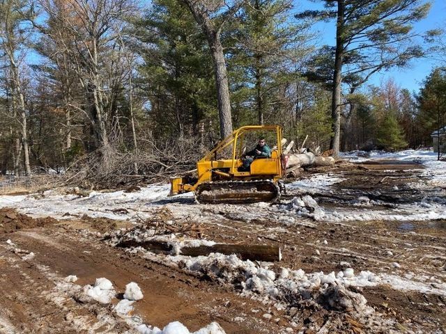 Forest Inspector | Preston, WI | Eskildsen's Tree Service & Property Maintenance