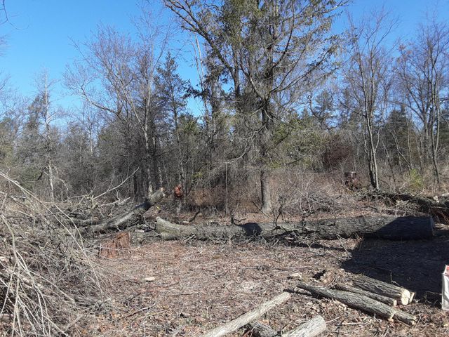 Damage Forest | Preston, WI | Eskildsen's Tree Service & Property Maintenance