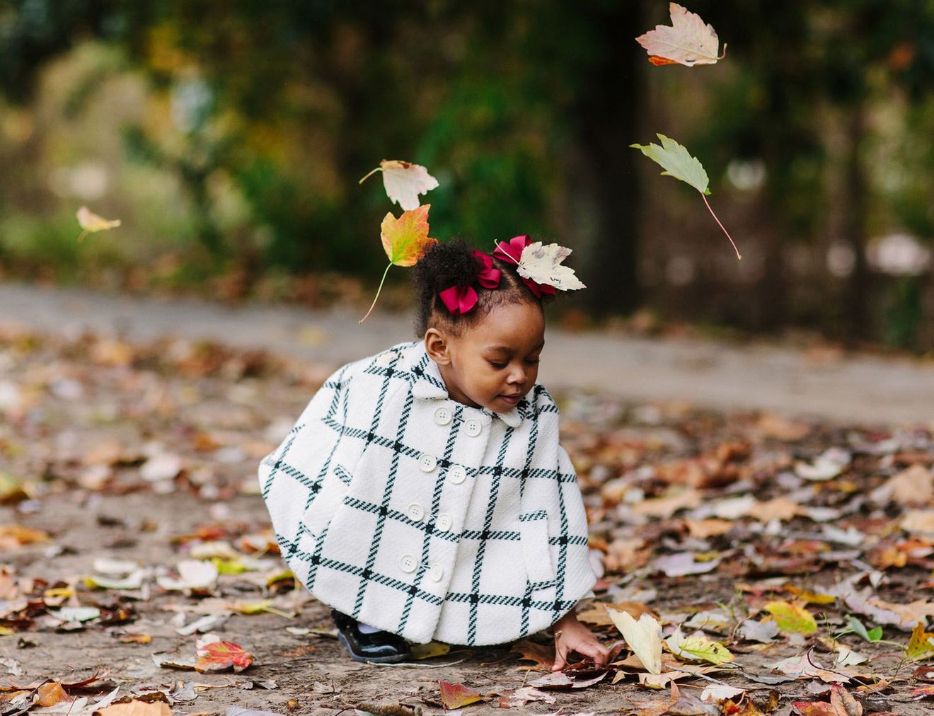 Fall leaves (and comes)