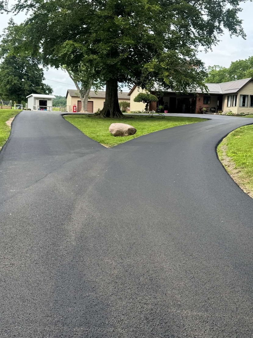 Forked asphalt driveway splitting around a large tree in a rural yard with houses and sheds.