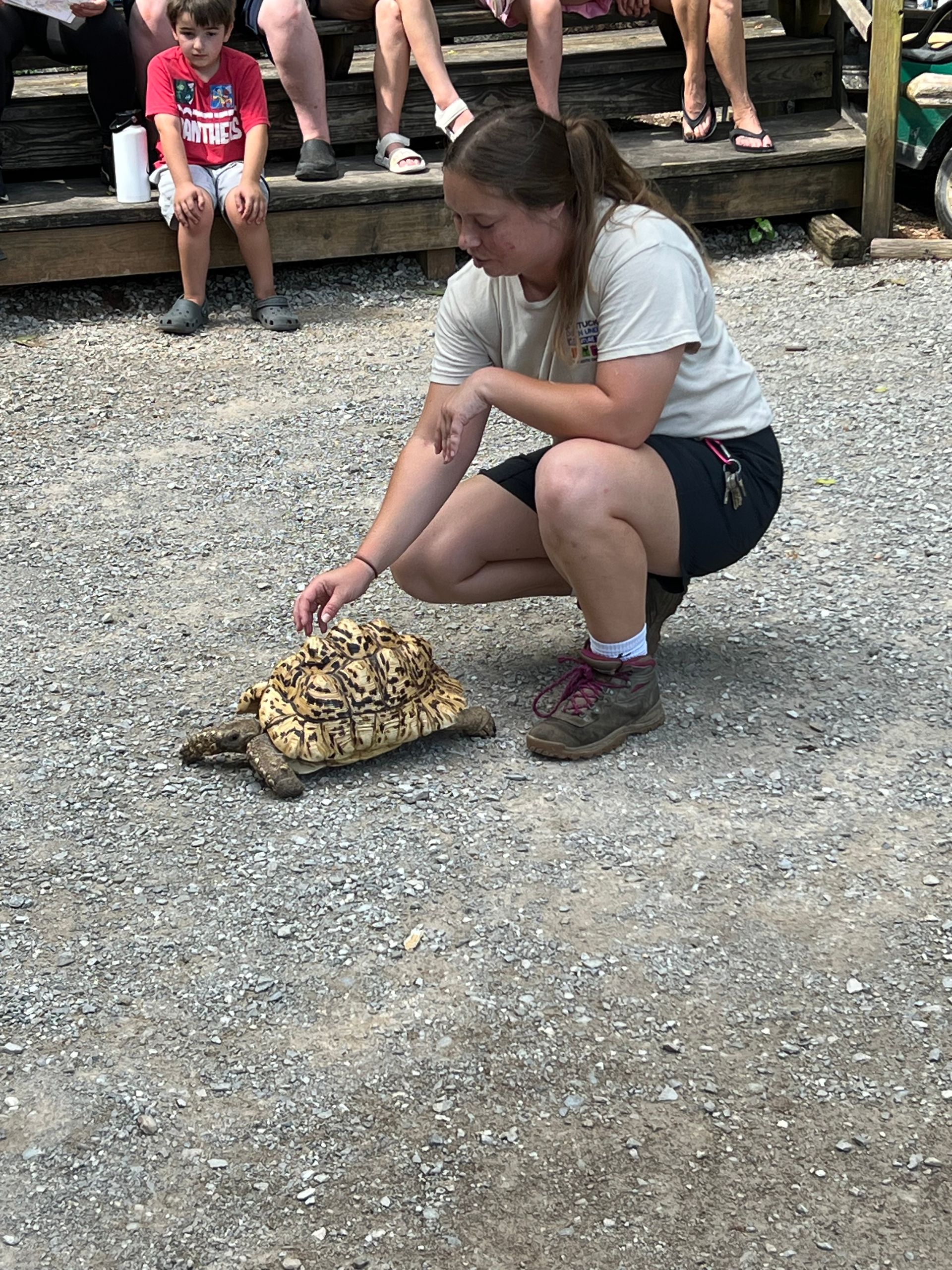 Person crouches on gravel petting a tortoise, with spectators sitting on a bench behind.