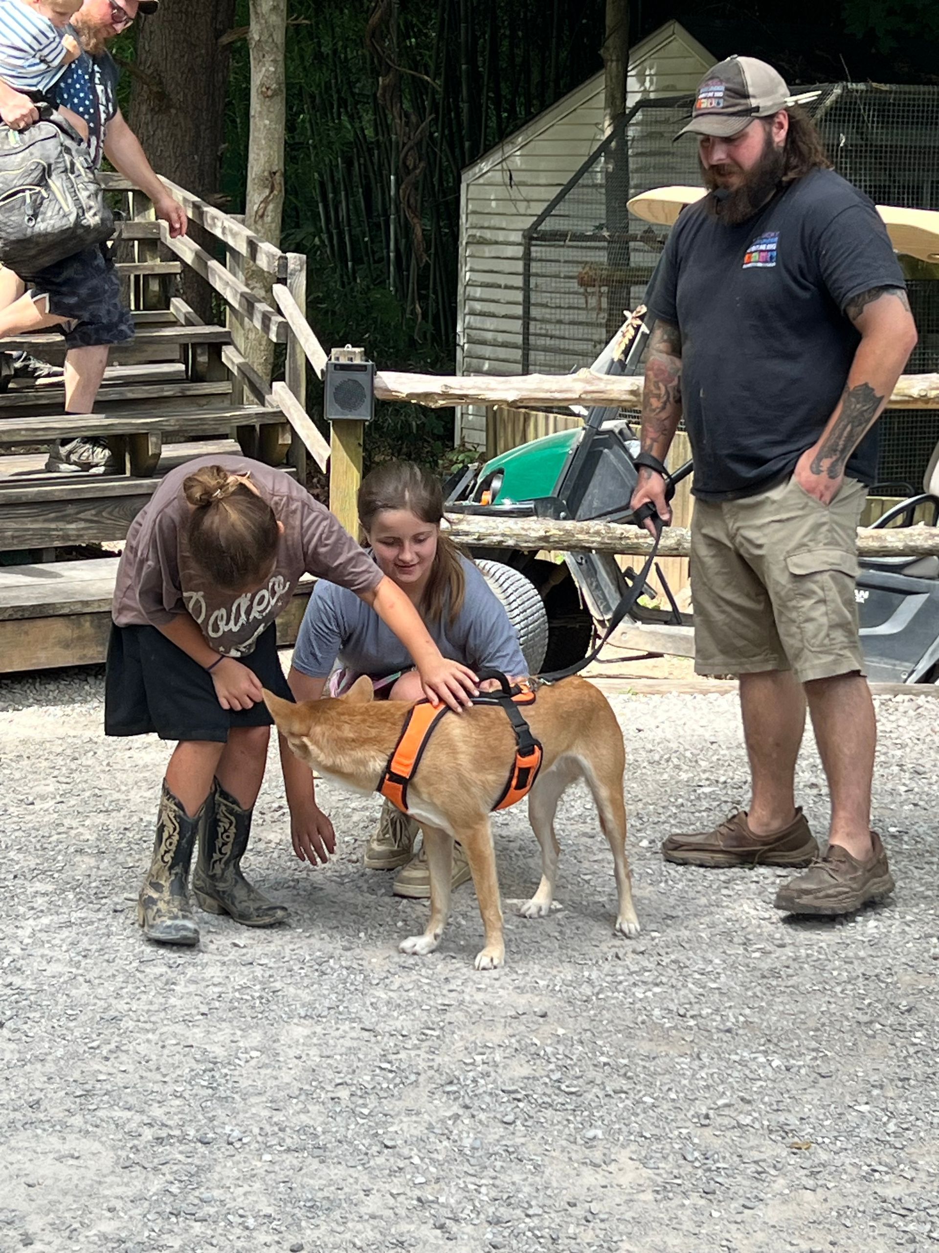 Woman and child pet a tan dog wearing an orange harness while a man stands nearby outdoors.