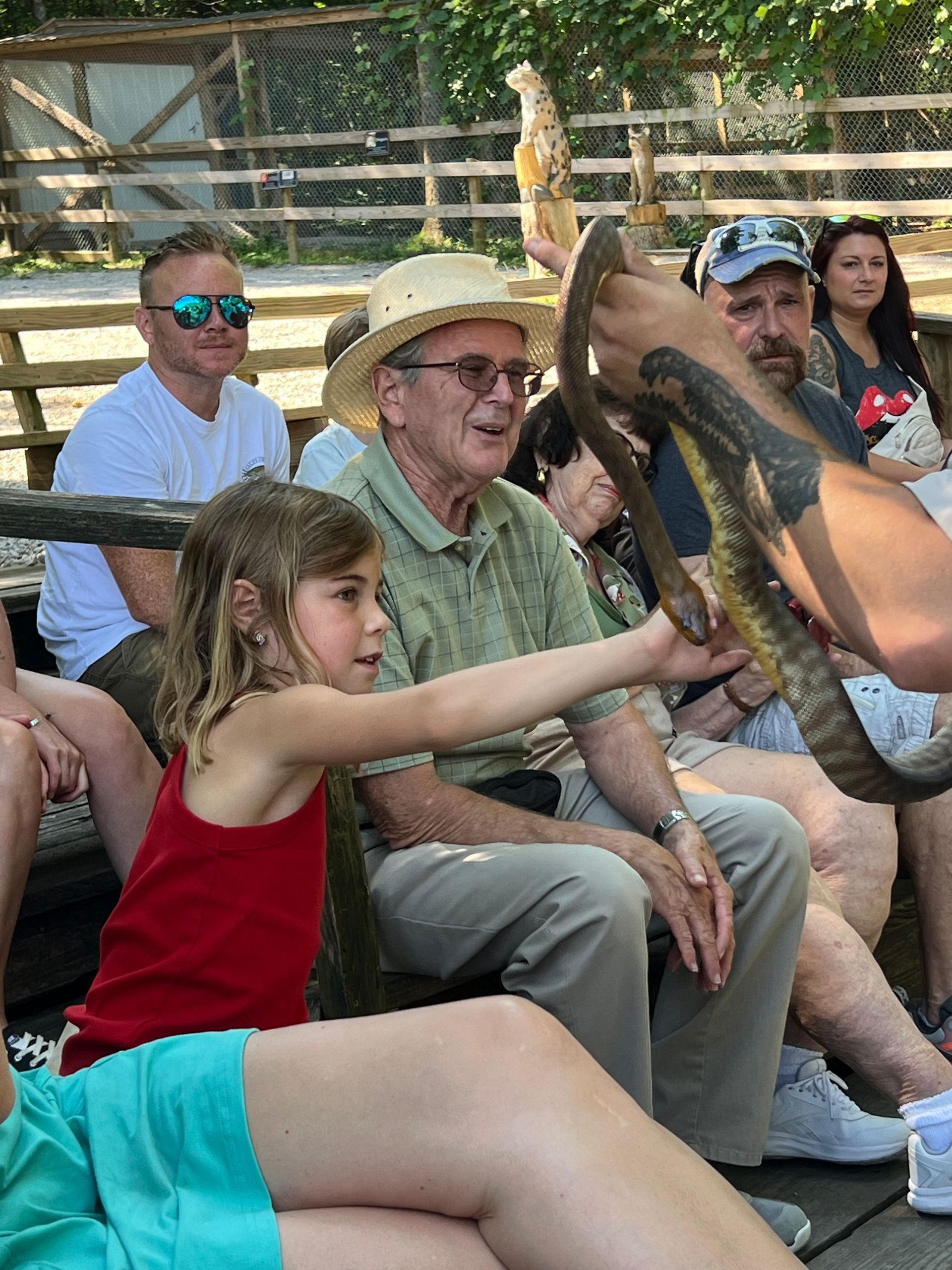 Visitors feed a large bird at an outdoor animal show, with one person holding a child nearby