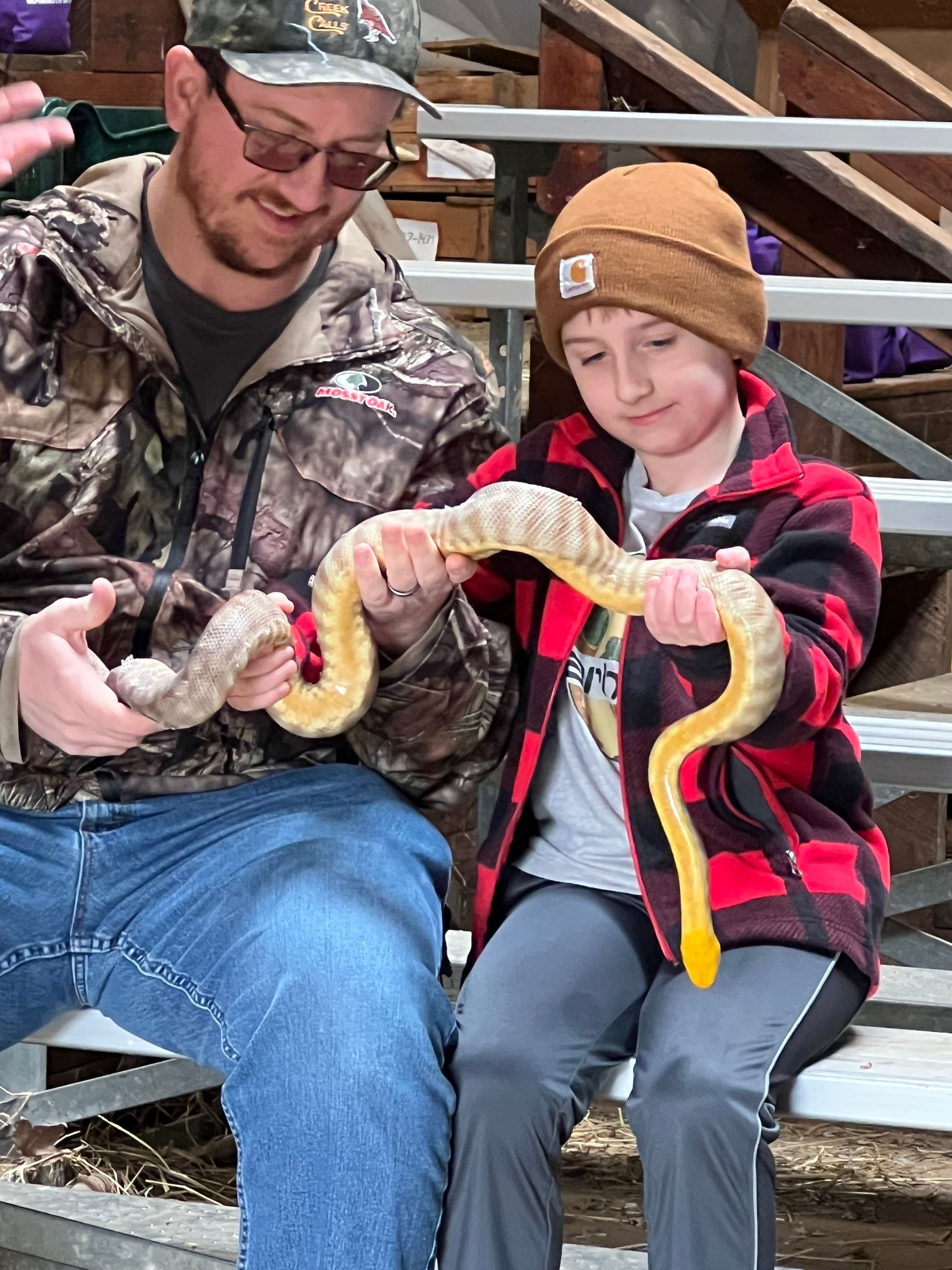 Two people sitting on bleachers holding a large yellow-and-red snake