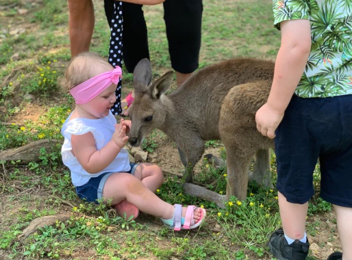 Child sitting on grass feeds a kangaroo while adults stand nearby in a park