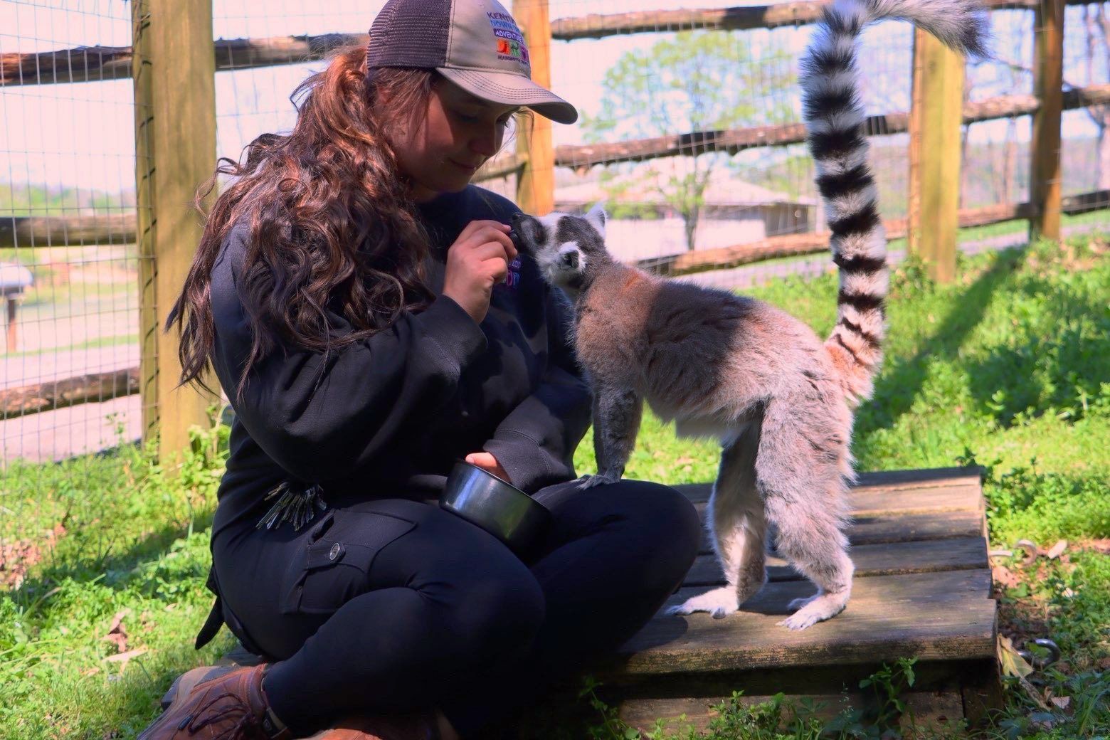 Person kneels beside a lemur outdoors, holding a camera near the animal on a wooden platform.