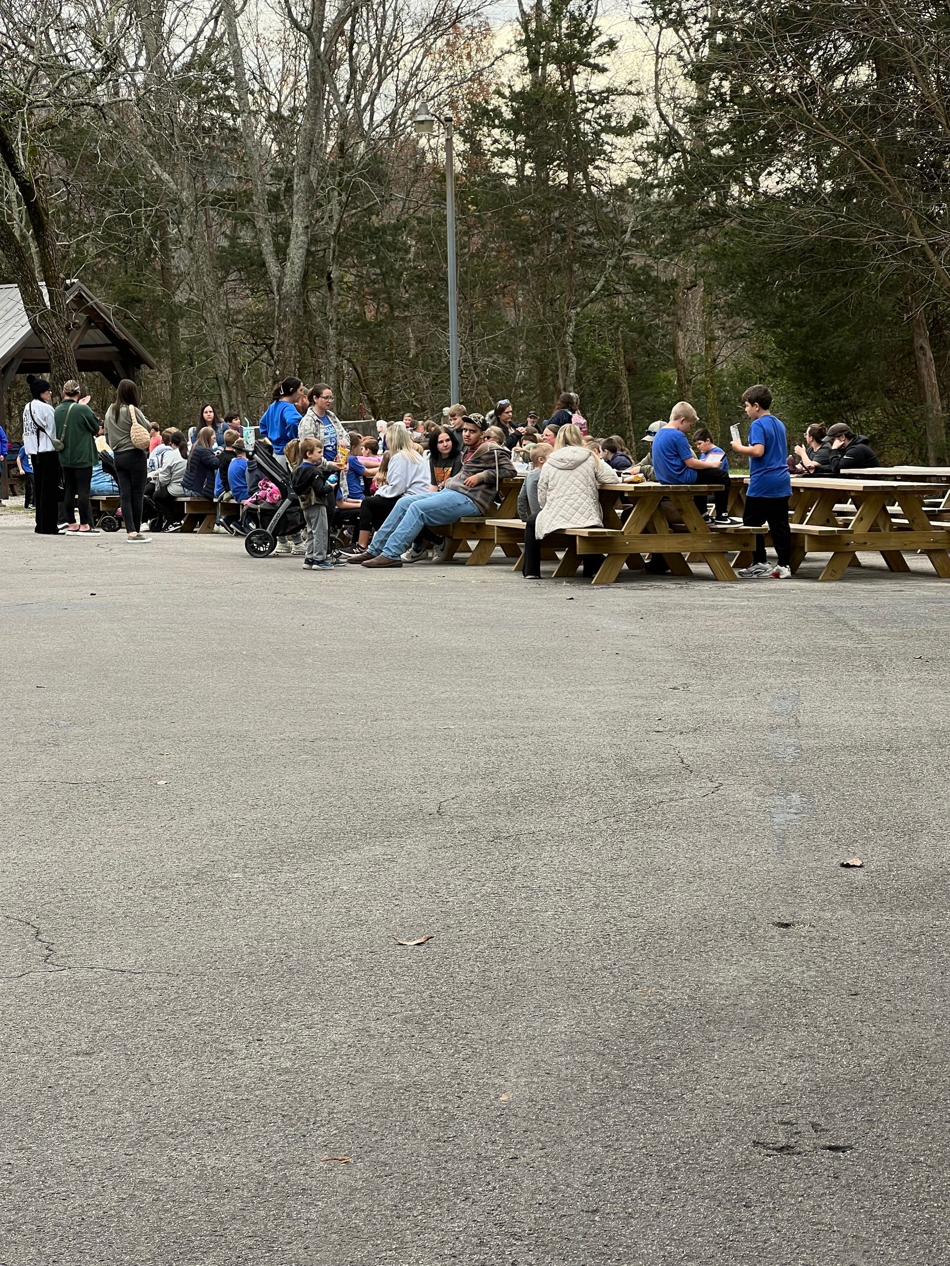 People gathered at picnic tables in a wooded park beside a gravel area.