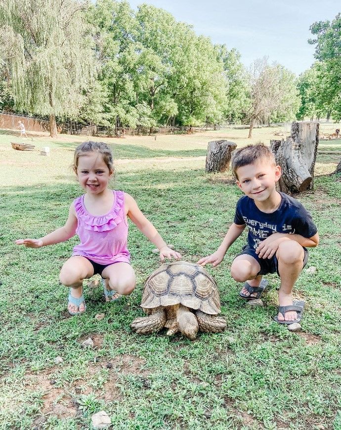 Two children crouch beside a tortoise in a grassy park with trees and logs.