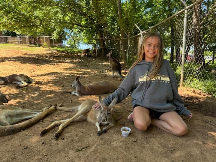 Woman kneeling beside kangaroos under a shaded enclosure, with a fence and trees in the background.