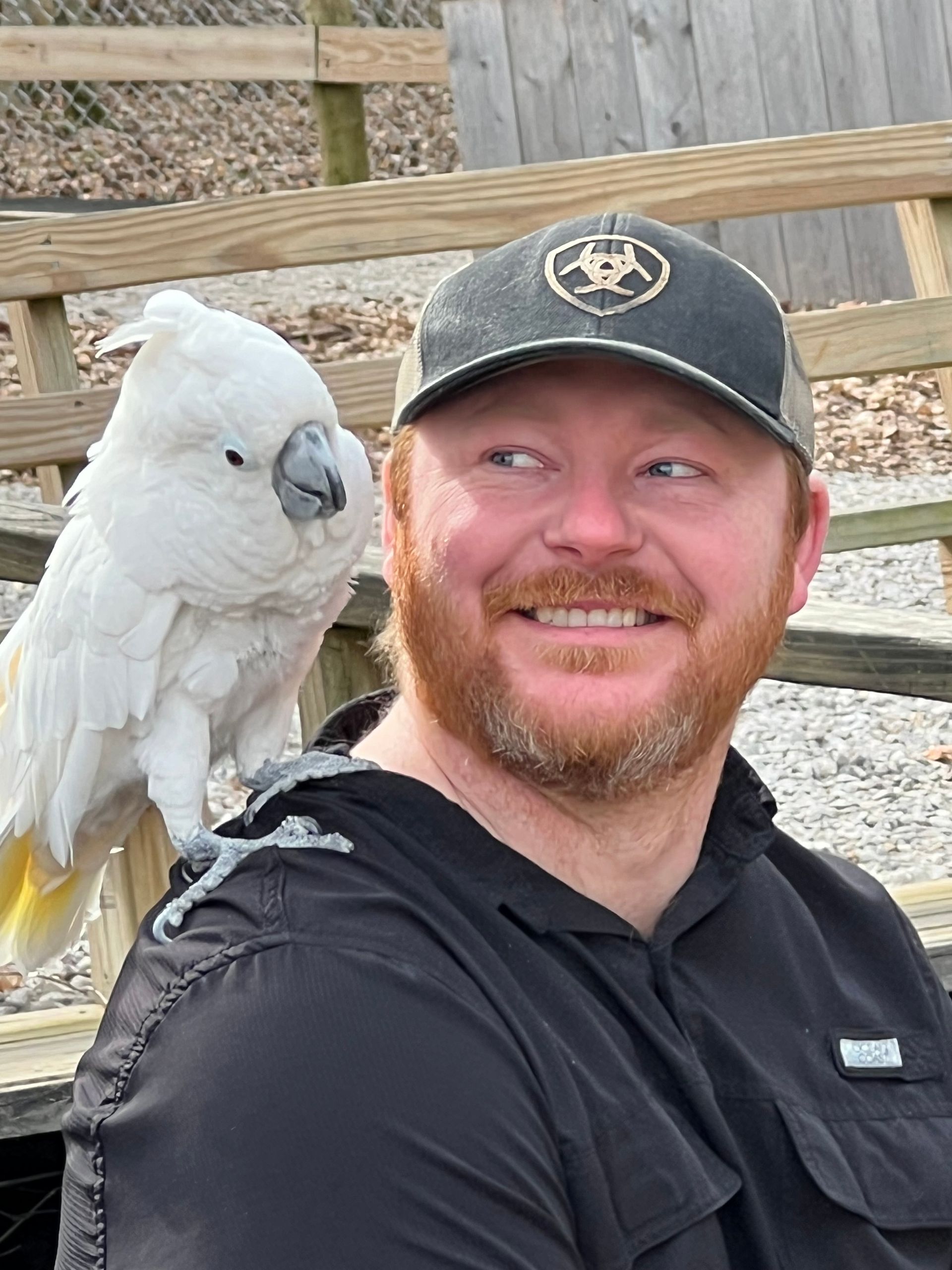 Man smiling beside a white cockatoo perched on his shoulder outdoors near a wooden fence