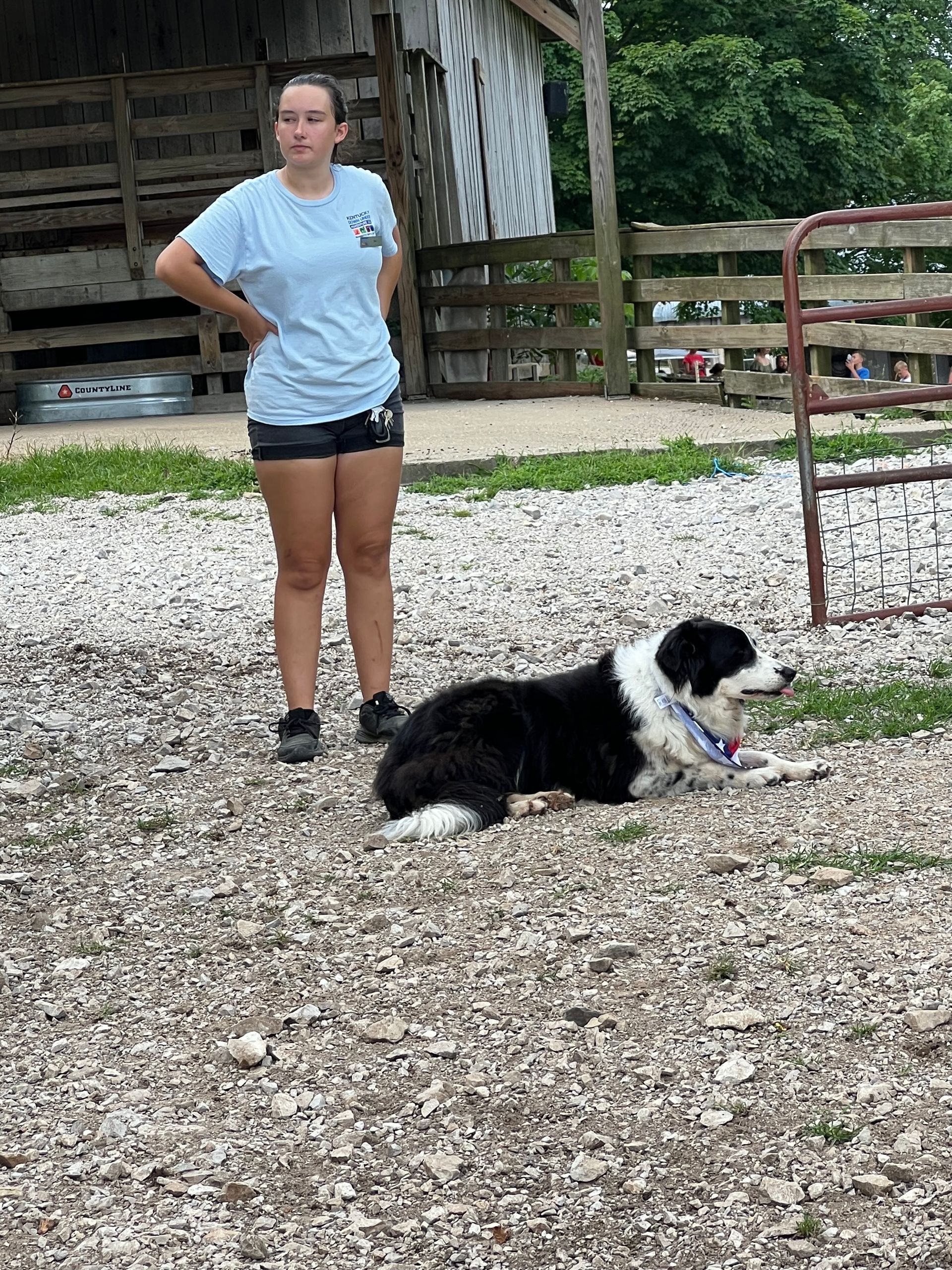Person stands beside a black-and-white dog lying on gravel near a wooden fence and barn.