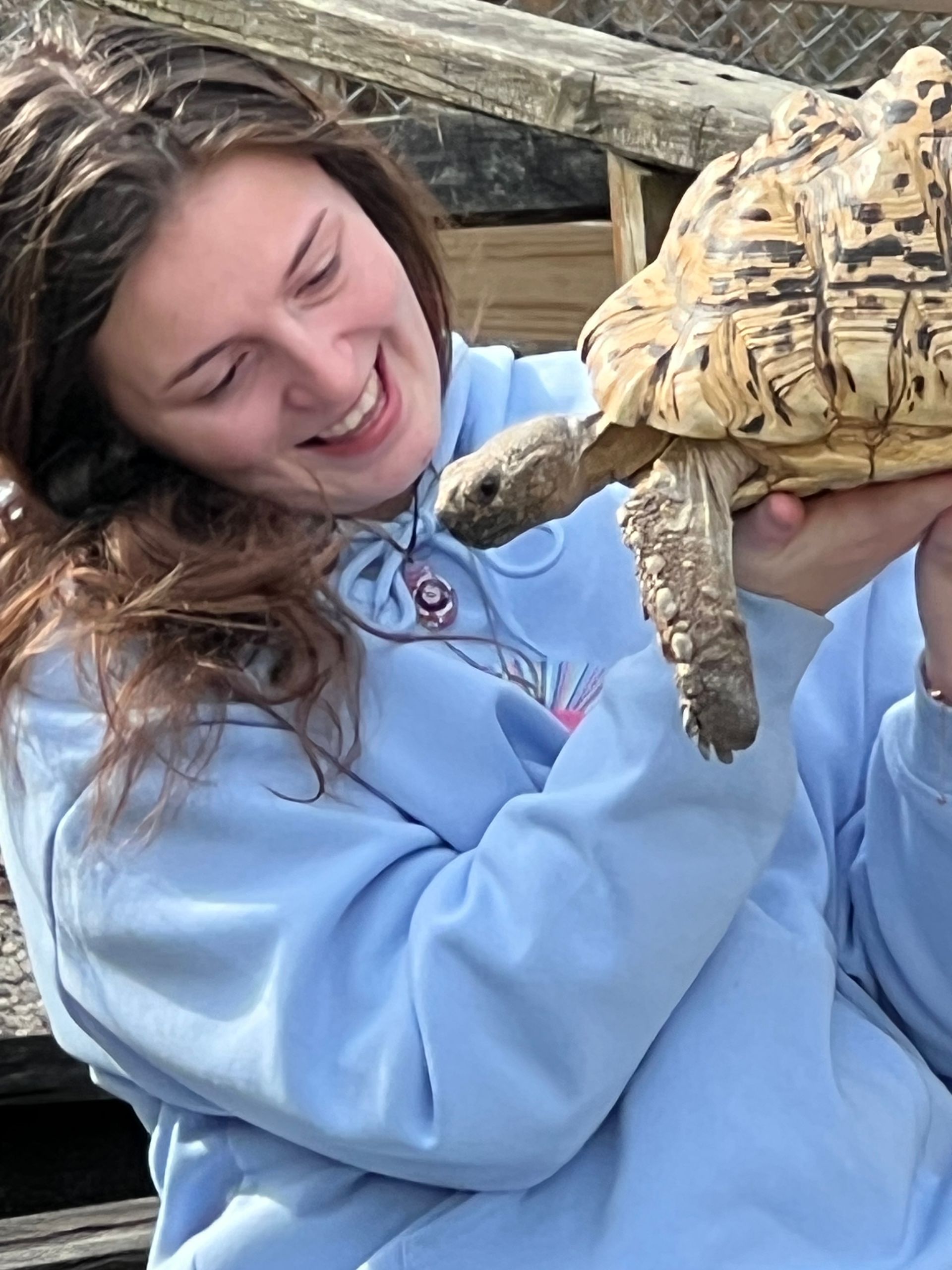 Young woman in a blue hoodie gently holding a tortoise and smiling outdoors