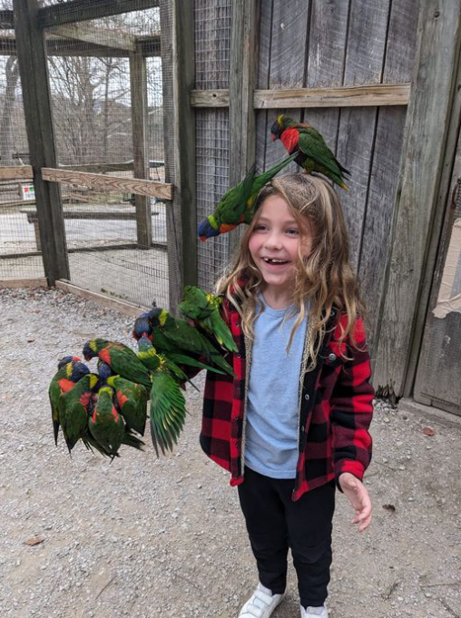 Child smiling with a colorful parrot on their shoulder in a rustic outdoor enclosure