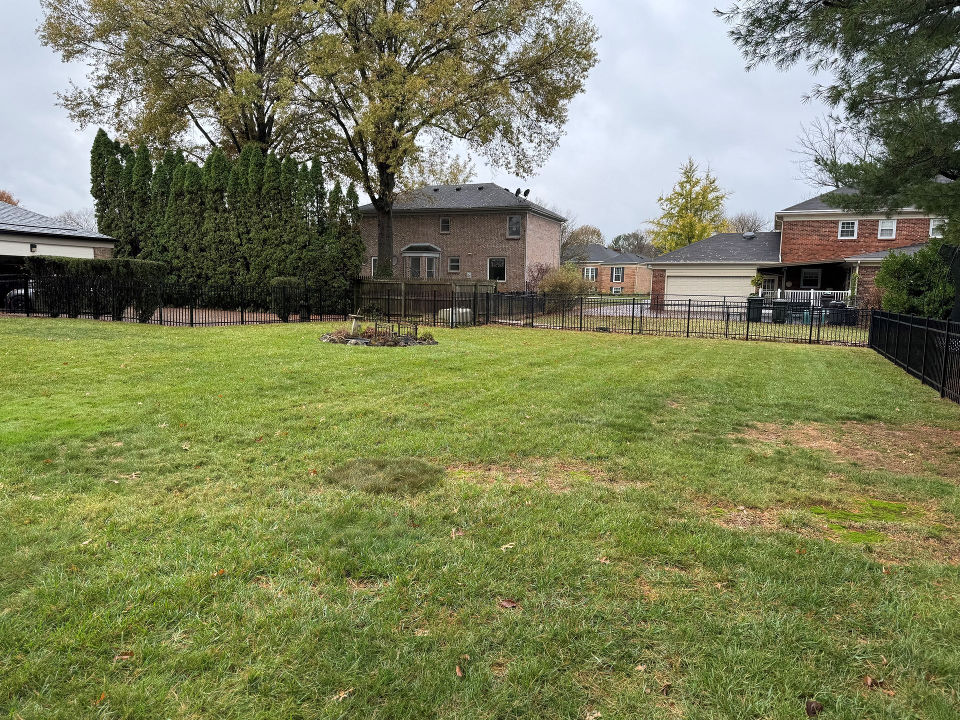 Grassy backyard with a large tree, patio, and houses under a cloudy sky