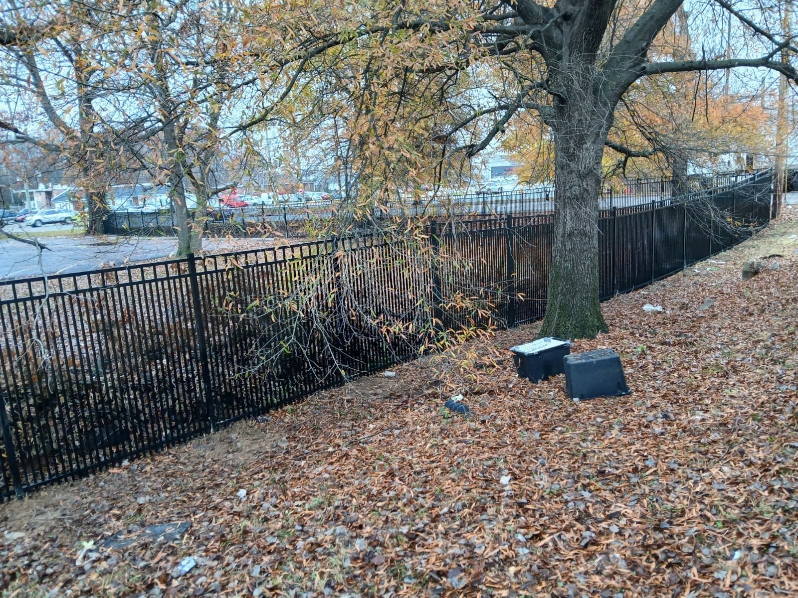 Leaf-covered riverbank with trees, a black fence, and a dumpster near the water