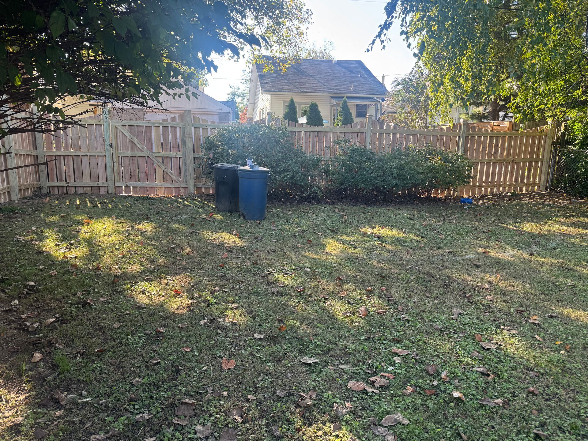 Backyard with wooden fence, two blue bins, leafy trees, and a small shed in the background.