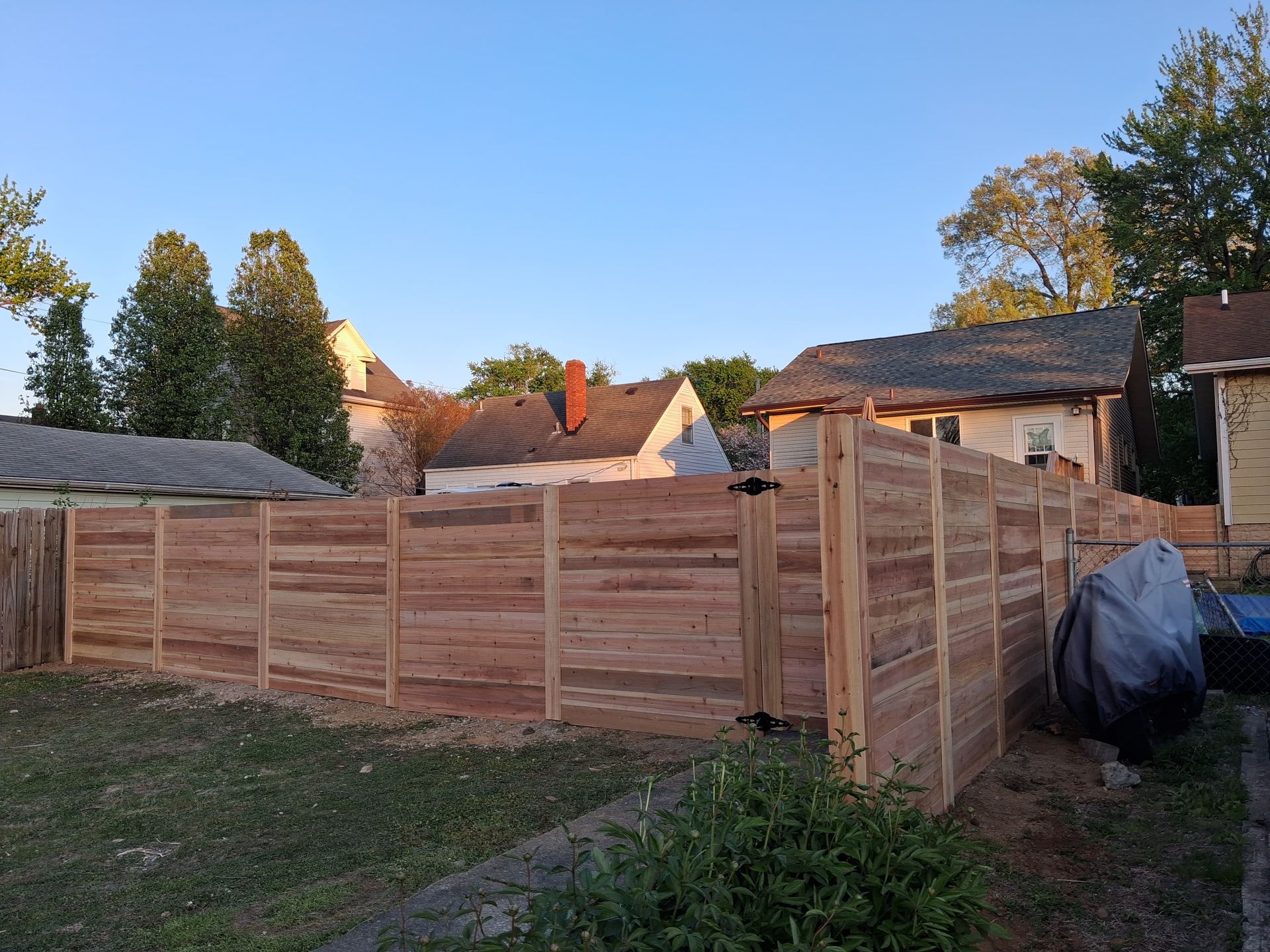 A horizontal wooden fence borders a backyard on a sunny day, with houses and trees visible in the background.