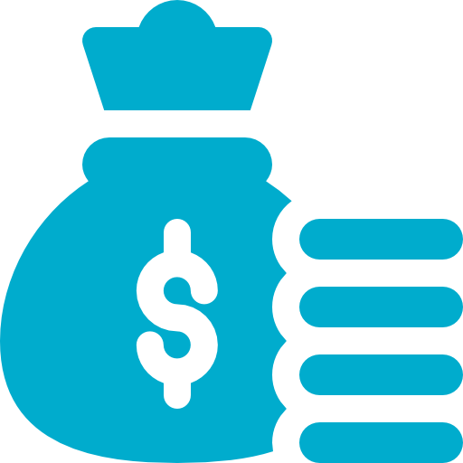 Budget