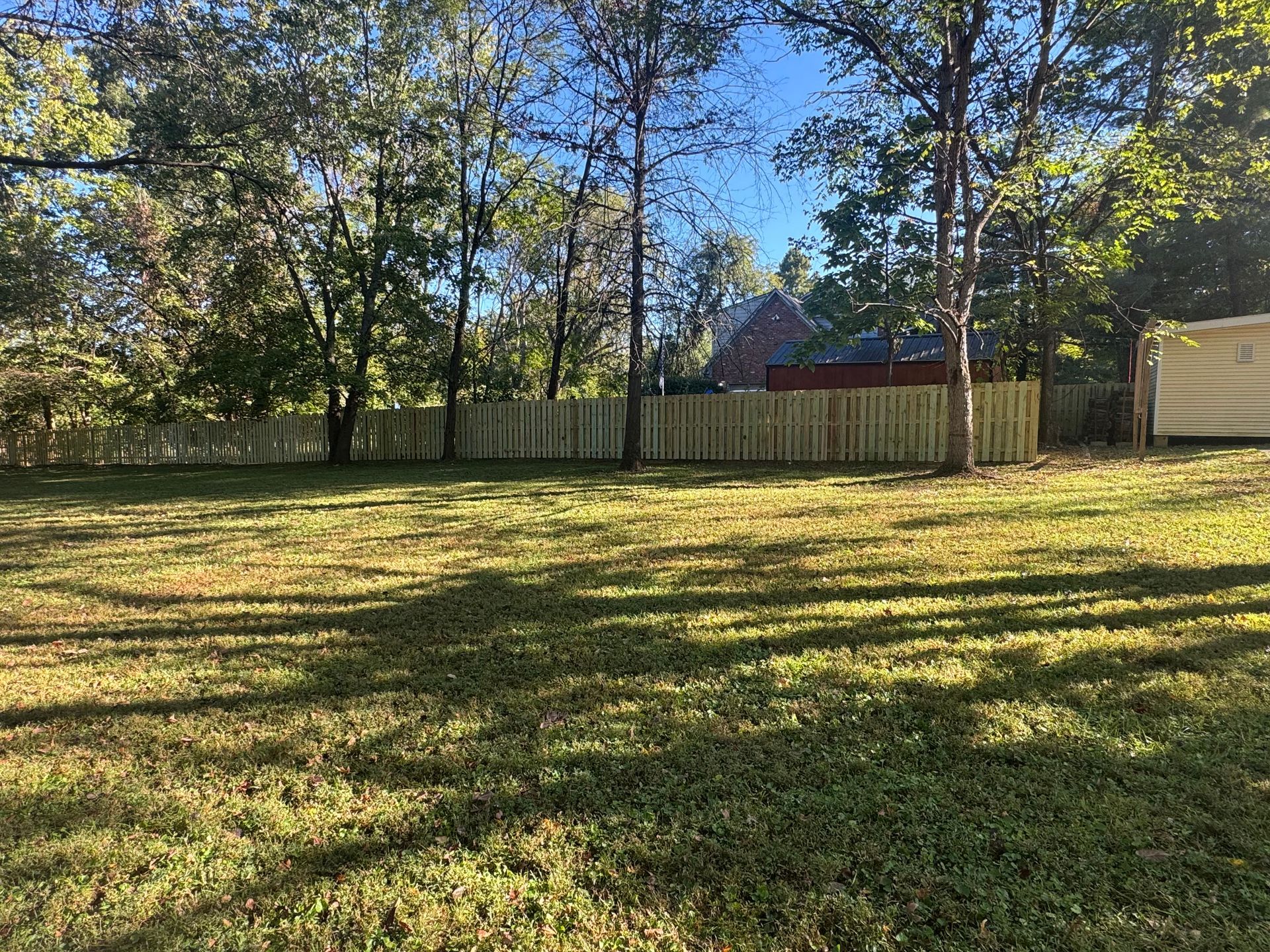 Sunny backyard with a grassy lawn, wooden fence, and trees casting long shadows.