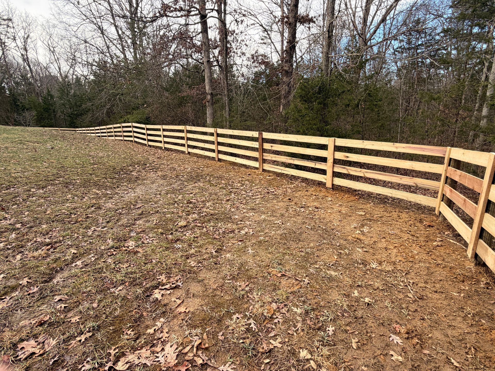 Wooden rail fence in a field, trees in the background.