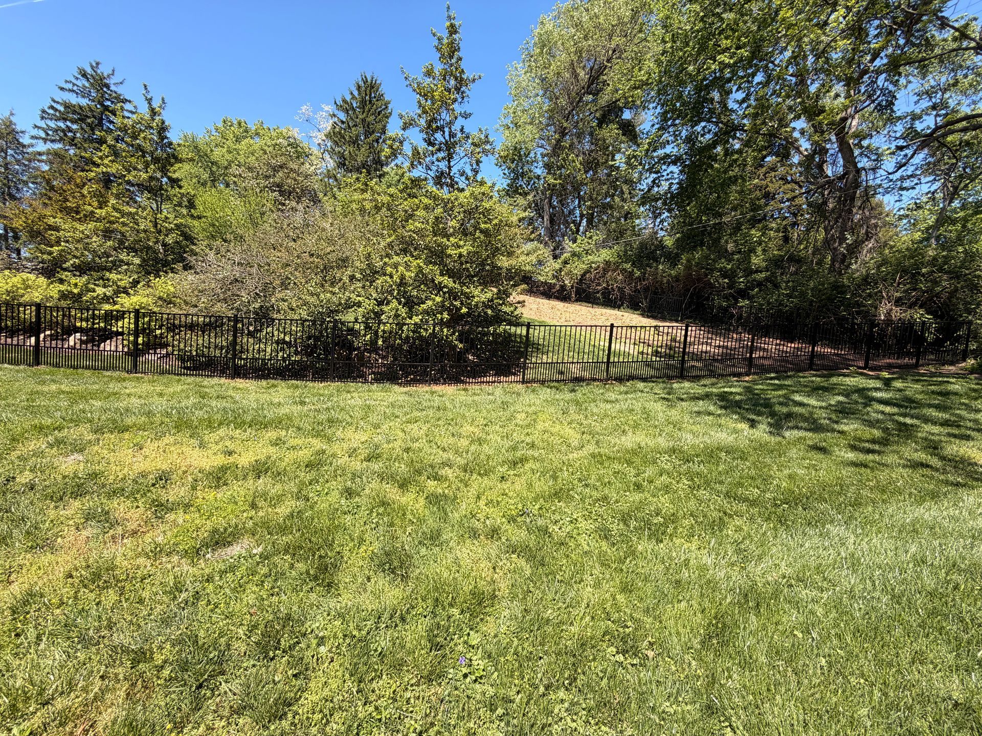 Sunny grassy park with trees and a wooden fence on a hill