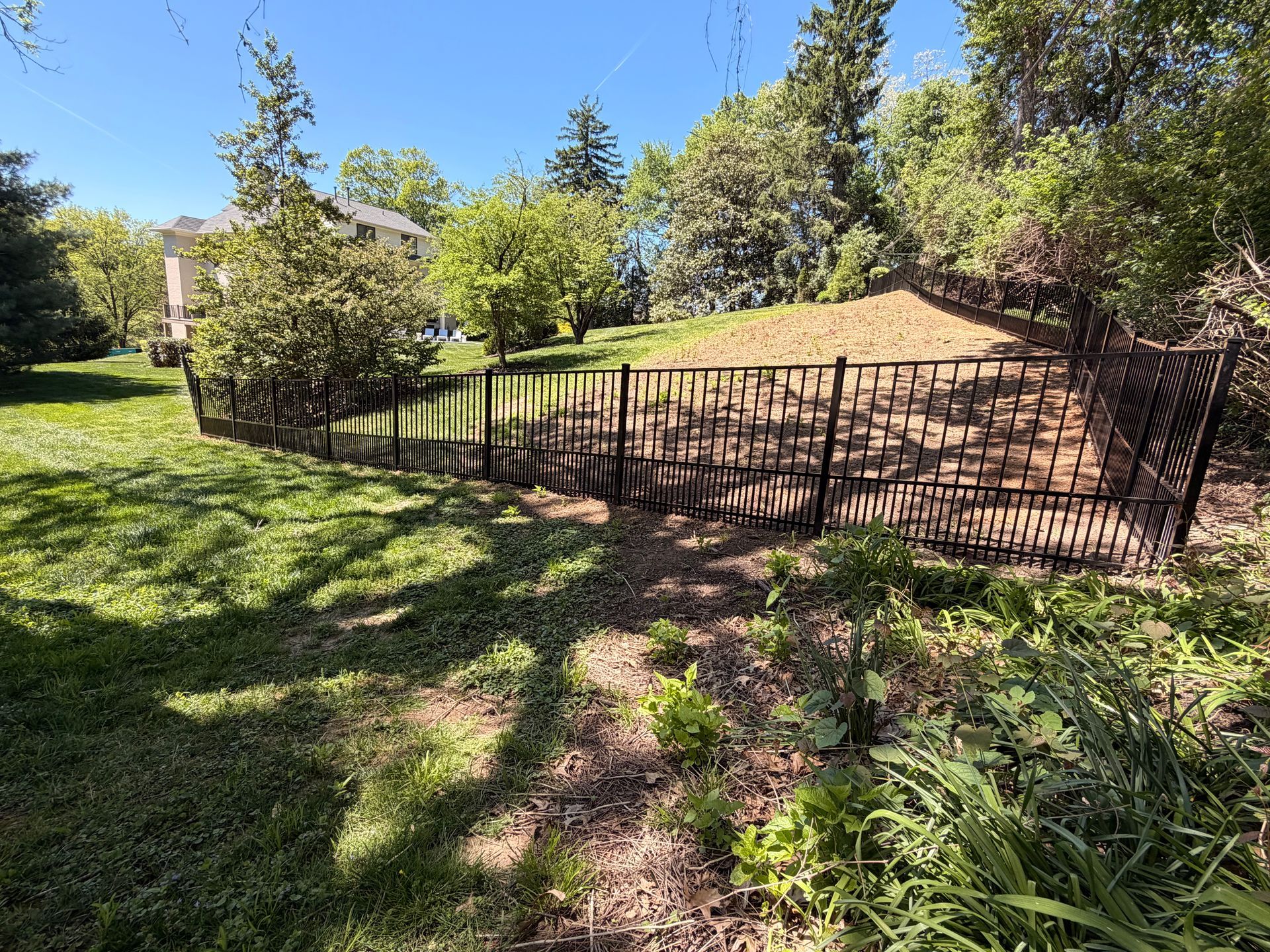 Sunny garden with a black metal fence, grassy slope, and trees and shrubs in the background