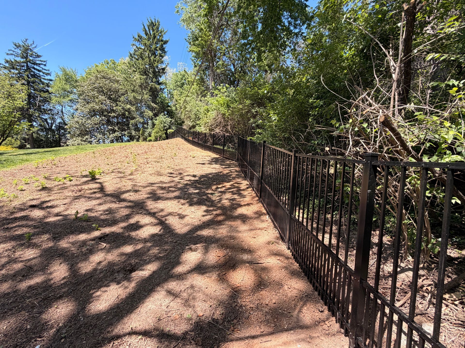 Sunlit dirt path beside a black metal fence and trees in a wooded area
