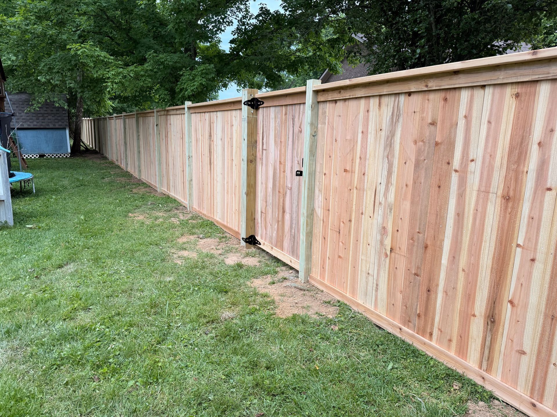 Wooden privacy fence along a grassy backyard beside tall trees